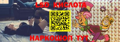 ПСИЛОЦИБИНОВЫЕ ГРИБЫ Пенза